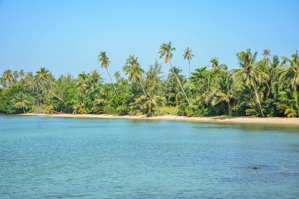 Quelles croisières permettent de découvrir les traditions musicales en Afrique de l'Ouest?