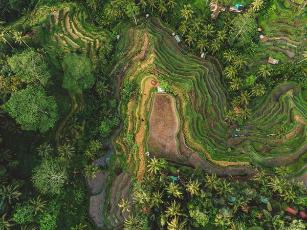 Comment planifier une visite des temples hindous à Bali, Indonésie : itinéraires et conseils pratiques ?